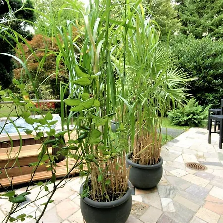 Schacht34 4* אוברהאוזן